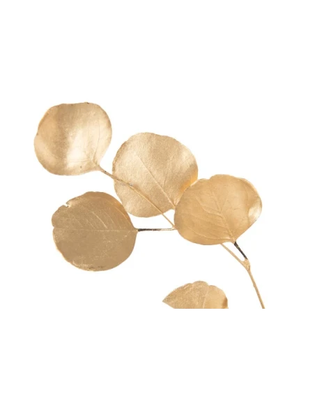 J-Line - Eucalyptus Dried Flower - Gold