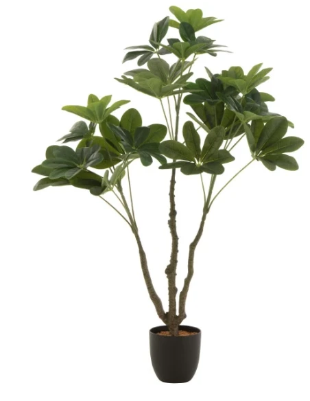 J-Line - Crassula + Vaso Plastica - Verde