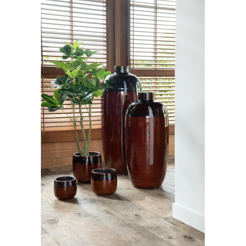 J-Line - Crassula + Plastic Pot - Green