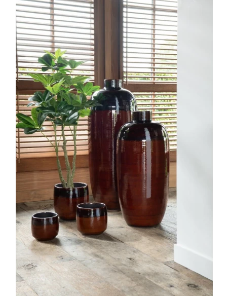 J-Line - Crassula + Vaso Plastica - Verde