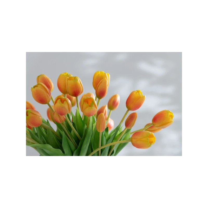 J-Line - Mazzo Tulipani 7  Pezzi - Arancione