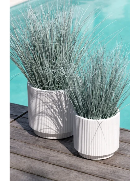 J-Line - Erbe Vaso -  Blu / Verde