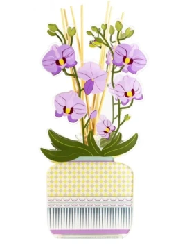 Vesta Home - Reed Diffuser - Livinia Purple Orchid