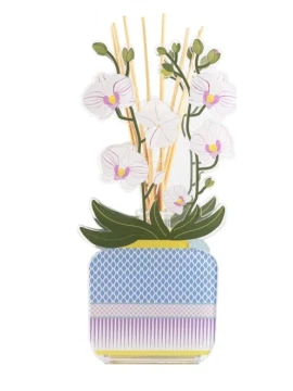 Vesta Home - Profumatore a Bastoncini - Livinia Orchidea Bianco