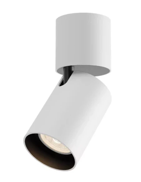 Redo Group - Corinth Adjustable Ceiling Lamp